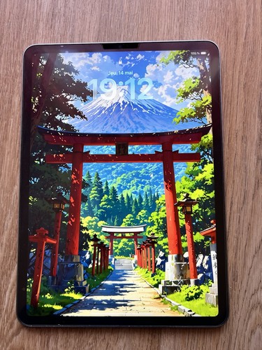 Ipad pro 512 go - pro, m2