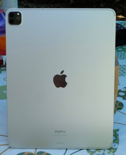 Apple ipad pro pouces 6 - 12,9,