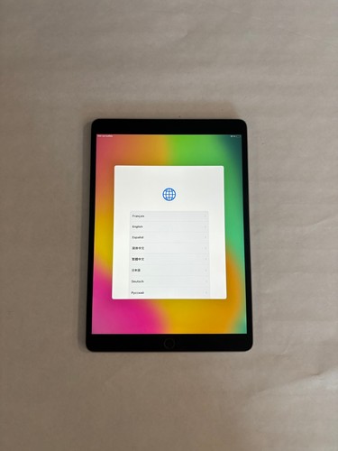Apple ipad pro 256 - 10.5",